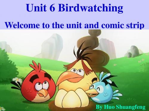 译林出版社八年级上册 Unit6 Birdwatching Comic Strip and Welcome to the Unit