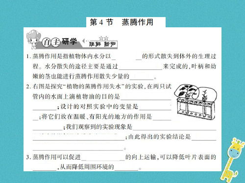 七年级生物上册第三单元第五章第4节蒸腾作用习题课件新版北师大版0803334