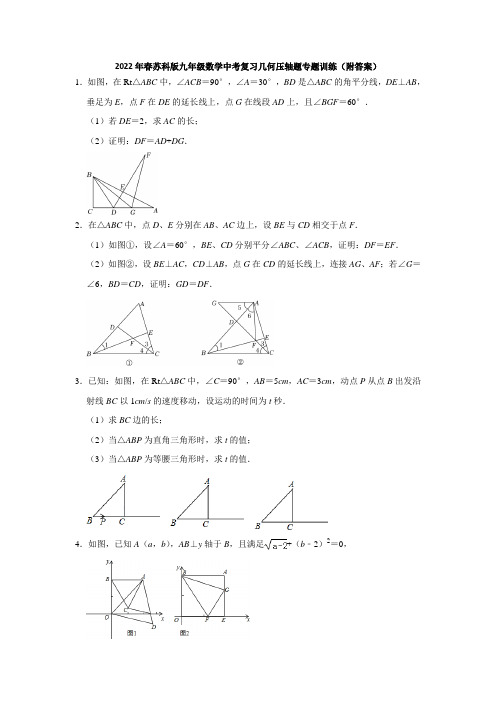 2022年春苏科版九年级数学中考复习几何压轴题专题训练(附答案)