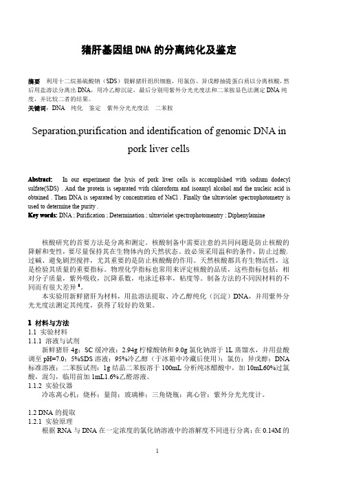 猪肝基因组DNA的分离纯化及鉴定