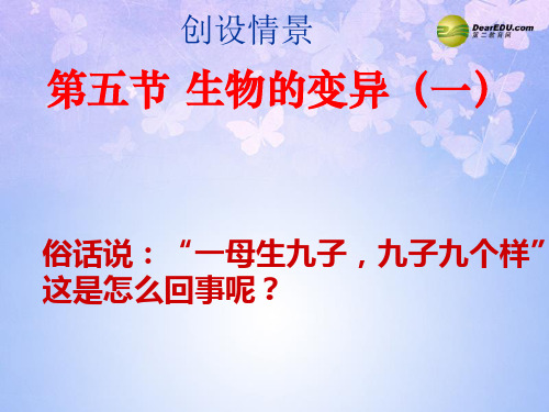 八年级生物下册 第五节 生物的变异(第一课时)课件 新人教版