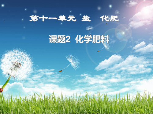 初中化学九下11.2 化学肥料 课件_8