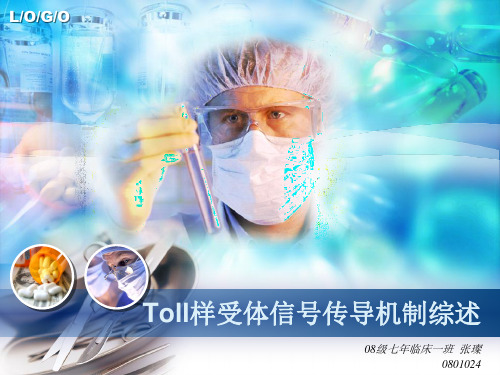 Toll样受体信号传导机制综述