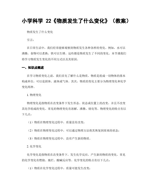 小学科学22《物质发生了什么变化》(教案)