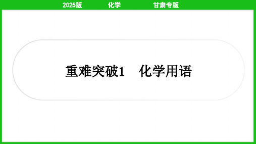 2025年中考化学总复习重难突破1化学用语