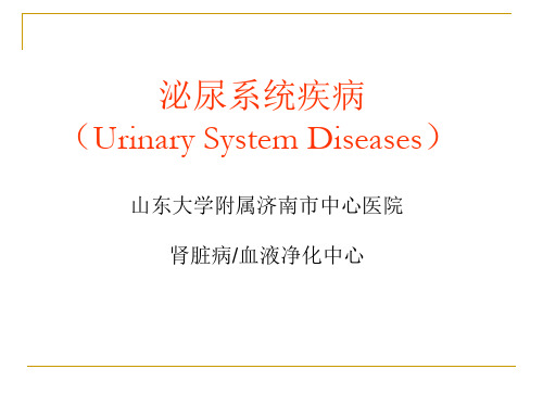 内科学泌尿系统总论