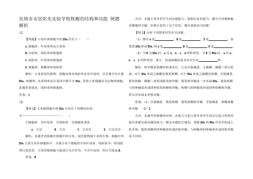 高中生物1核酸的结构和功能 例题解析