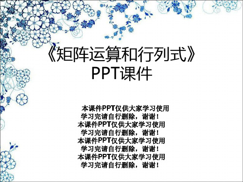 《矩阵运算和行列式》PPT课件