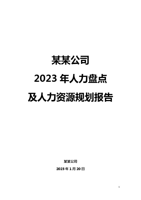 某某公司2023年人力盘点及人力资源规划报告