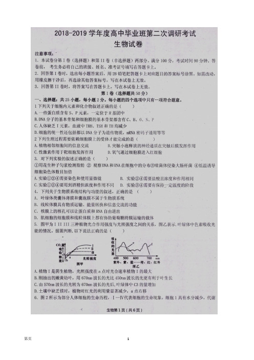 2019届河南省信阳市高三第二次调研考试生物试卷(扫描版)