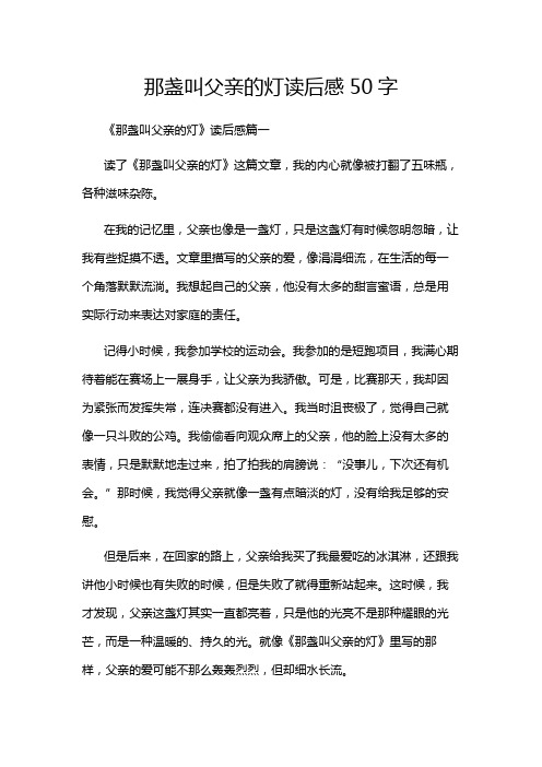 那盏叫父亲的灯读后感50字