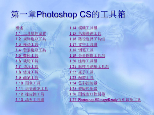 PhotoshopCS5入门教程~第一章精品PPT课件