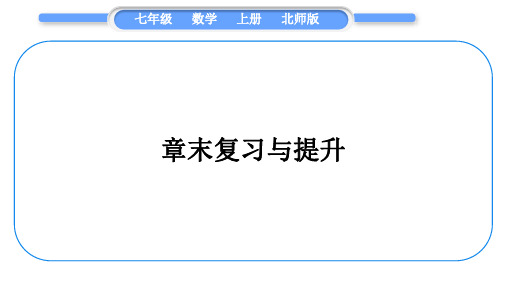 北师大版七年级数学上第三章整式及其加减章末复习与提升习题课件