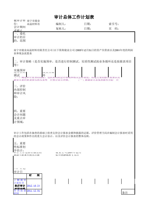 计划阶段审计工作底稿