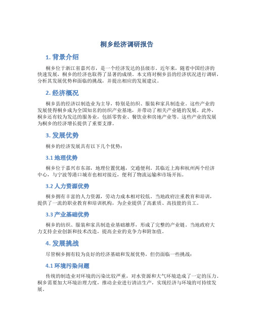 桐乡经济调研报告