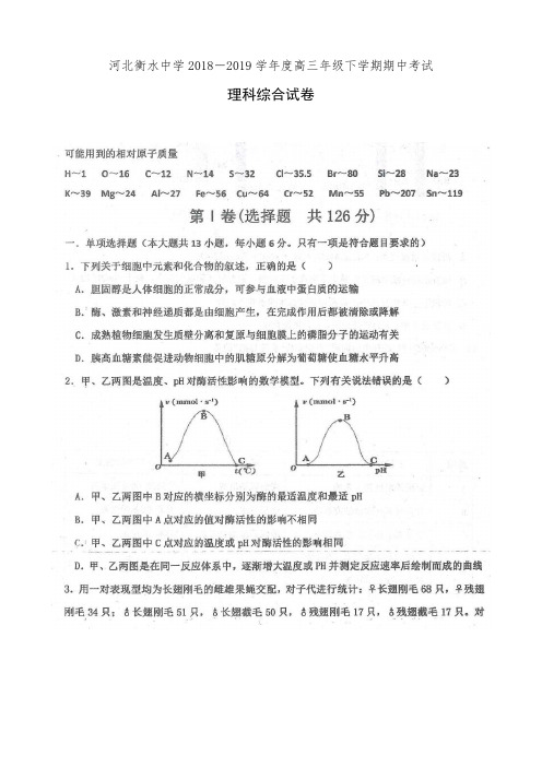 河北衡水中学2018-2019学年度高三年级下学期期中考试理科综合试卷(有答案)