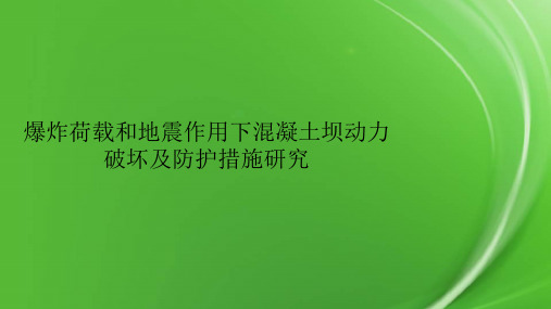 爆炸荷载和地震作用下混凝土坝动力破坏及防护措施研究