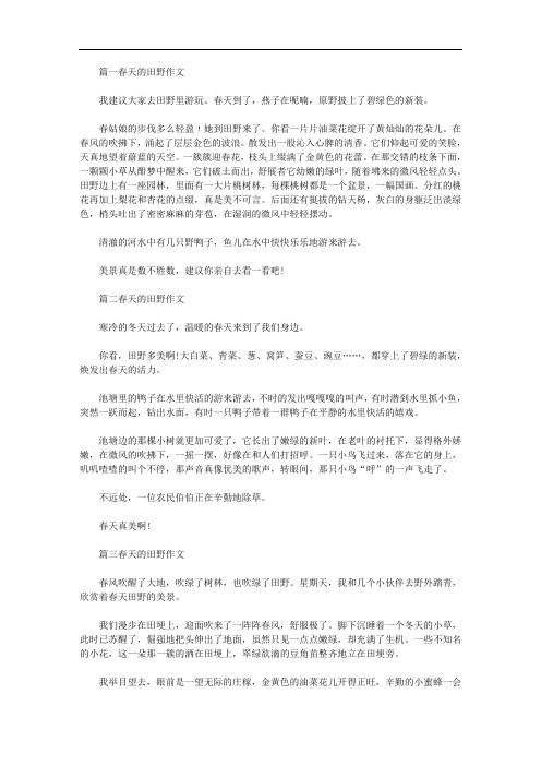 美丽的春天田野作文