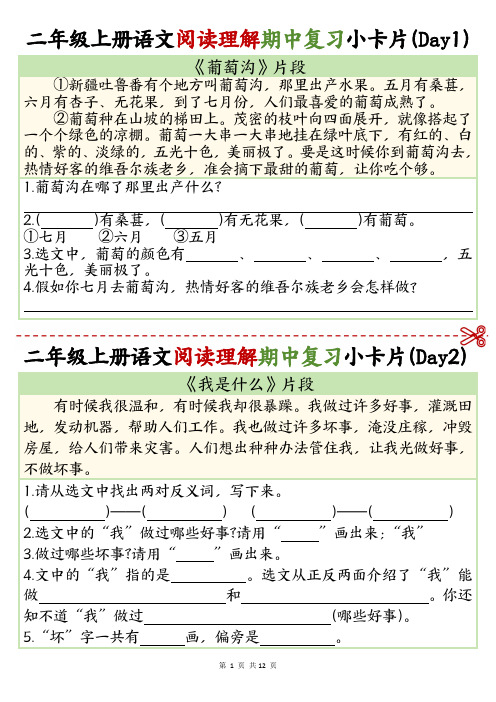 24年秋二年级上册语文阅读理解期中复习小卡片