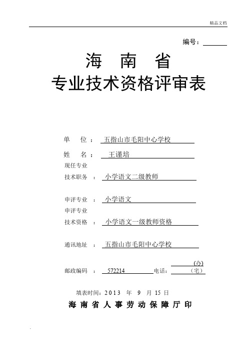 海南省专业技术资格评审表