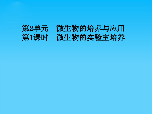 高中生物选修一 生物实践技术课件专题2 课题1 微生物的实验室培养