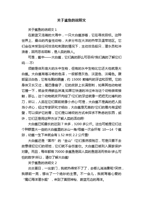 关于鲨鱼的说明文