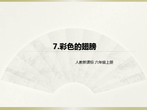 (赛课课件)六年级上册语文《彩色的翅膀》(共27张PPT)