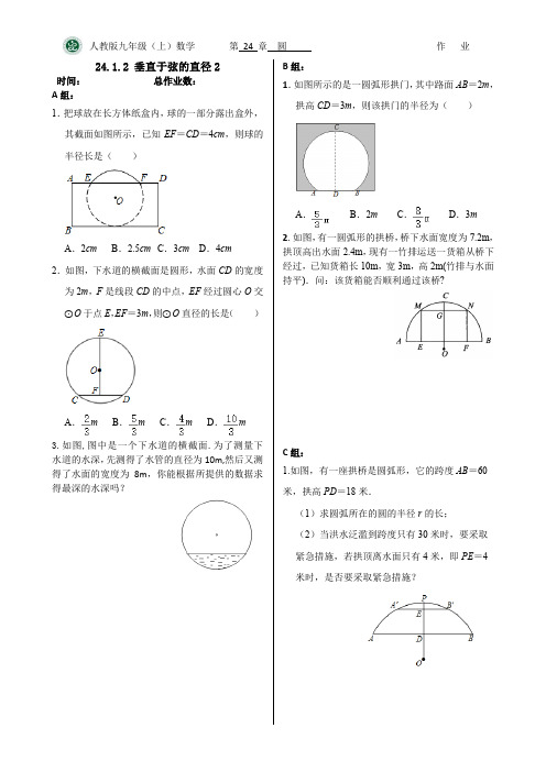 24.1.2 垂直于弦的直径作业2