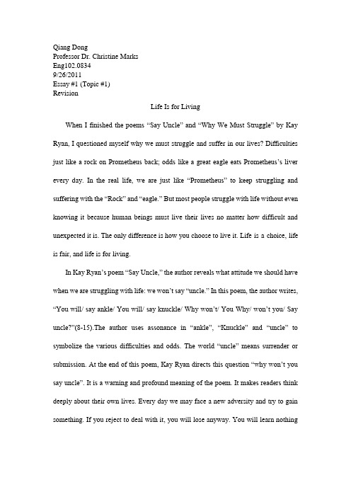 Essay 1