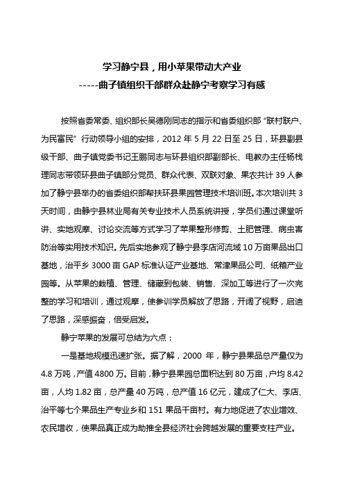 学习静宁县,用小苹果带动大产业