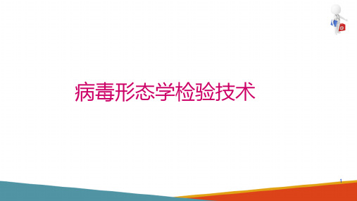 病毒检验技术—病毒的形态检验技术(微生物检验课件)