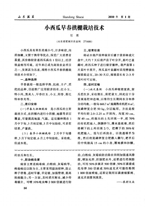 小西瓜早春拱棚栽培技术