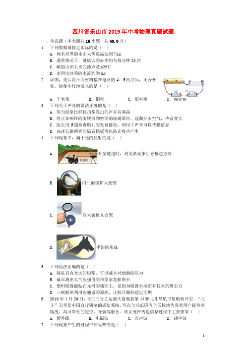 四川省乐山市2019年中考物理真题试题含答案解析