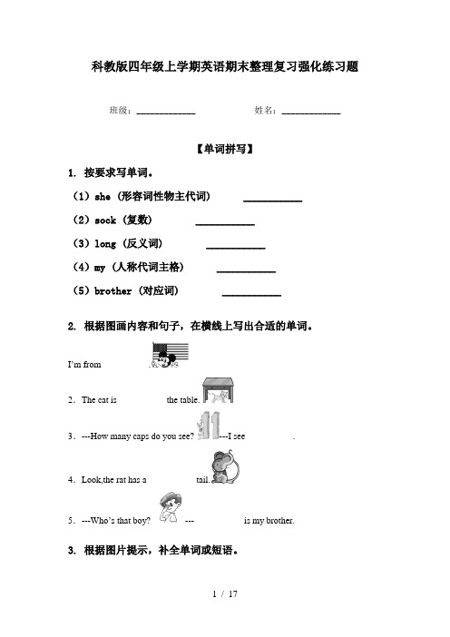 科教版四年级上学期英语期末整理复习强化练习题