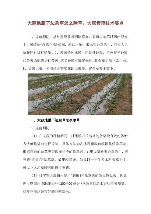 大蒜地膜下边杂草怎么除草,大蒜管理技术要点