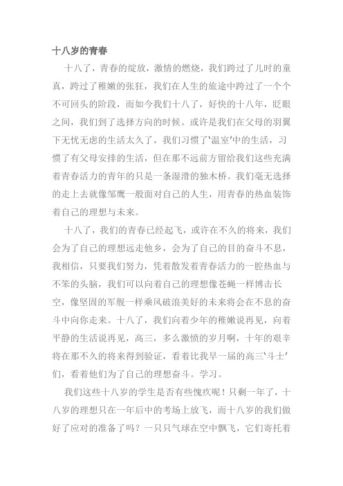 十八岁的青春作文