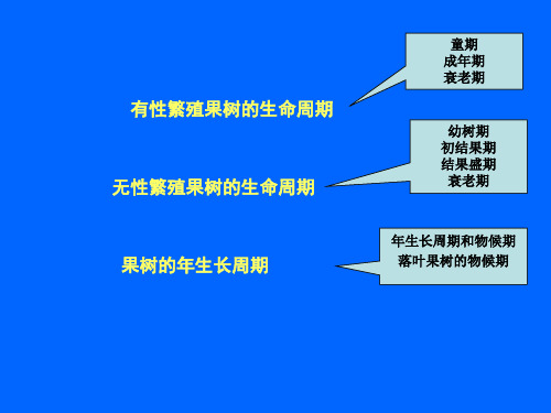 果树的生命周期和年生长周期