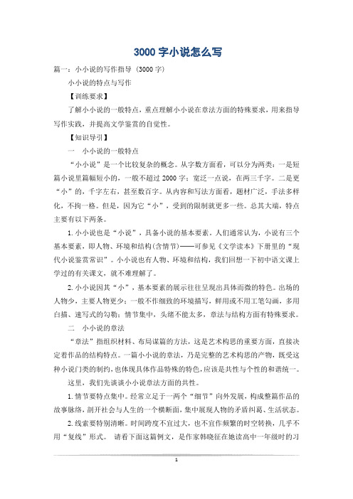 3000字小说怎么写