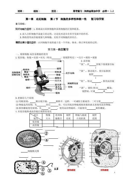 1.2 细胞的多样性和统一性(导学案)刘小刚-修改稿