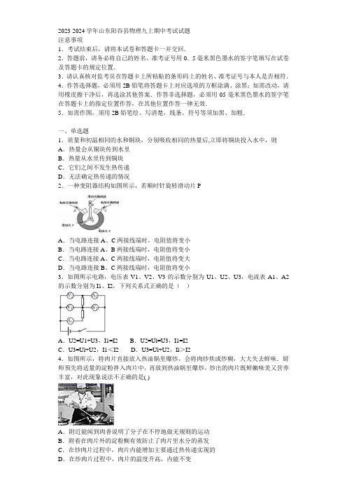 2023-2024学年山东阳谷县物理九上期中考试试题含解析