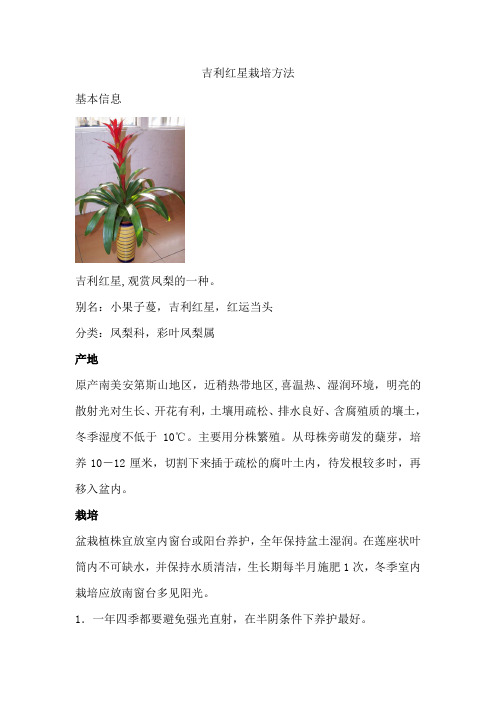 吉利红星栽培方法