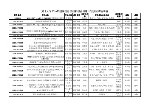 国家级级项目