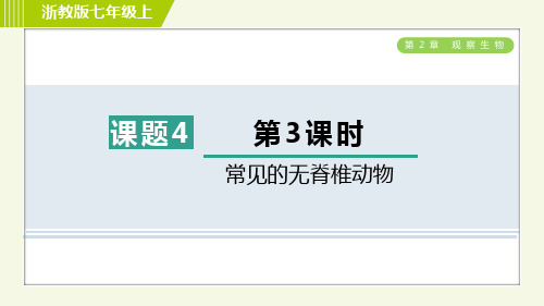 浙教版七年级科学上册第二章常见的无脊椎动物
