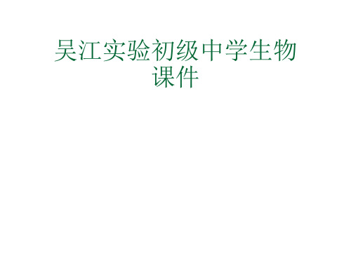 汗液的形成和排出.ppt