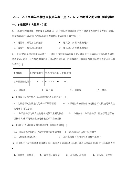 生物济南版八年级下册 生物进化的证据 同步测试