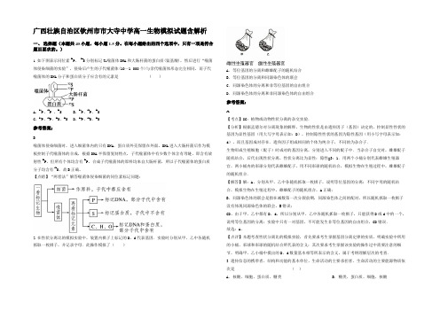 广西壮族自治区钦州市市大寺中学高一生物模拟试题含解析