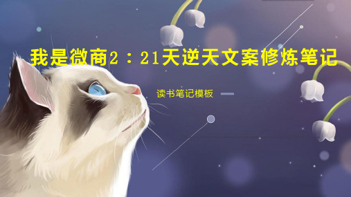 我是微商2：21天逆天文案修炼笔记