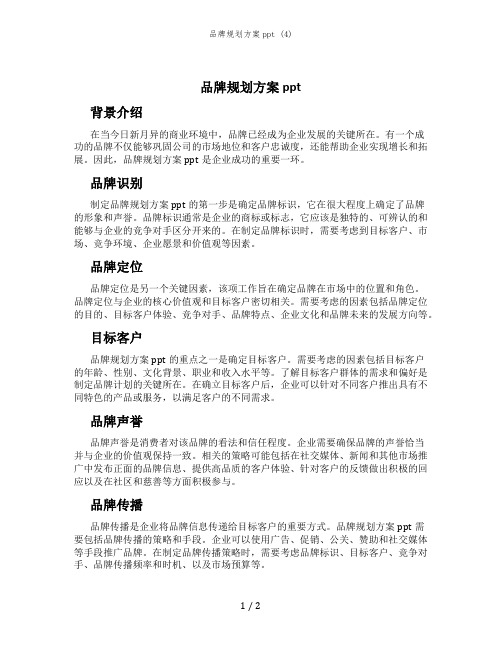 品牌规划方案ppt (4)