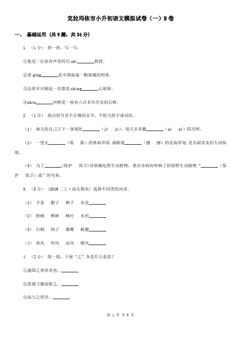 克拉玛依市小升初语文模拟试卷(一)B卷