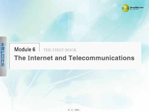 高中英语 Module 6 The Internet and Telecommunications